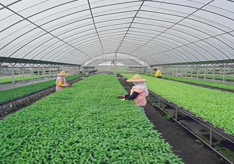 天塑建材有限公司